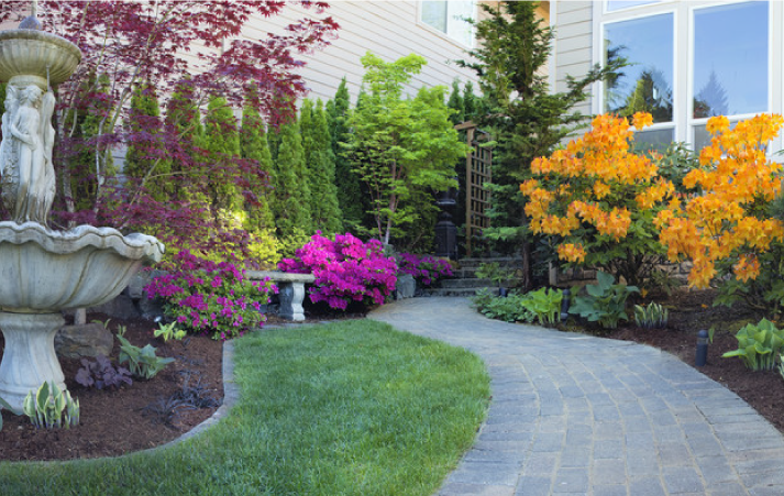 Hardscaping vs Landscaping: What’s the Difference?